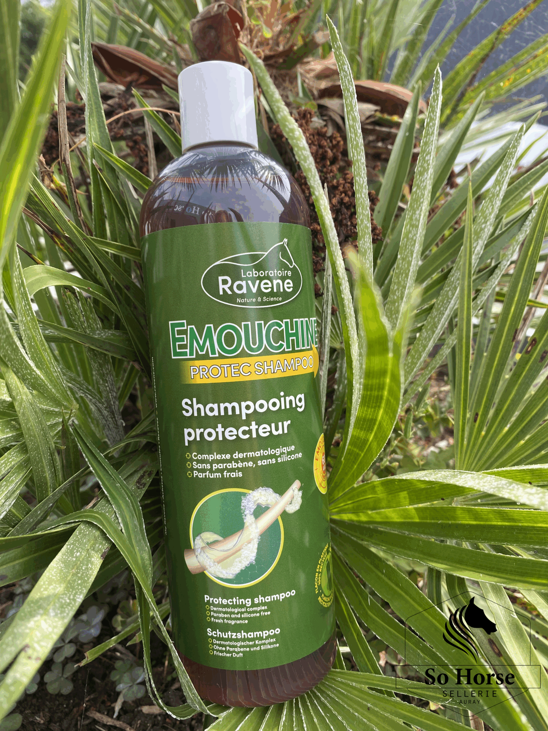 SHAMPOOING RAVENE "ÉMOUCHINE PROTEC"