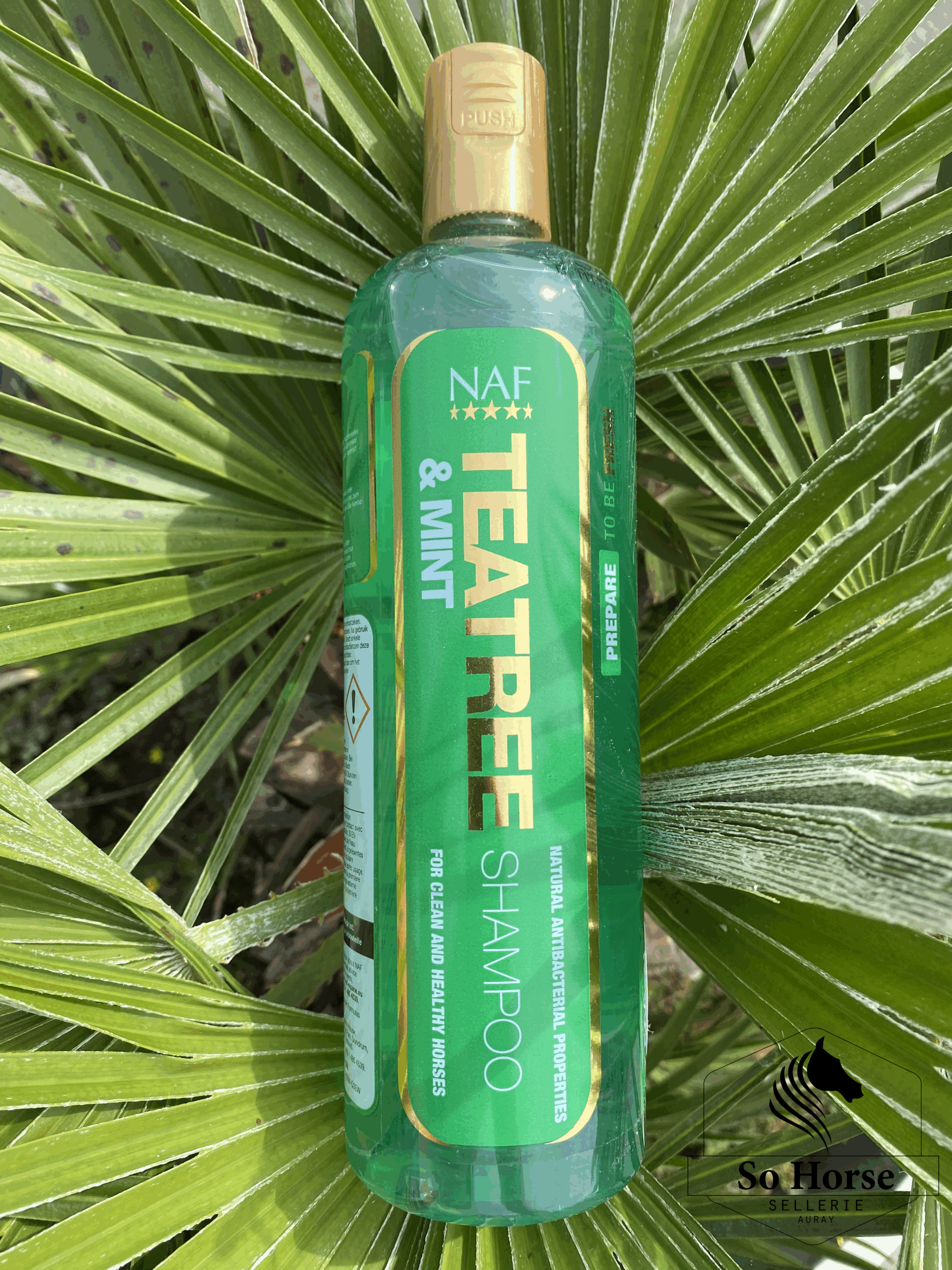 SHAMPOING NAF "TEATREE & MINT SHAMPOO"