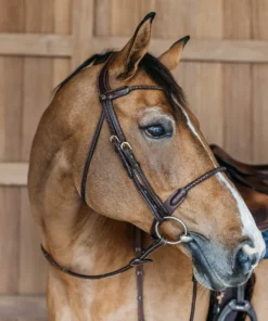 Bridon muserolle combinée tréssé rond D COLLECTION sans les renes