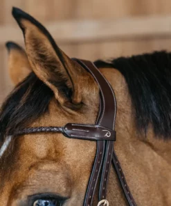Alternative view of Bridon muserolle combinée tréssé rond D COLLECTION sans les renes