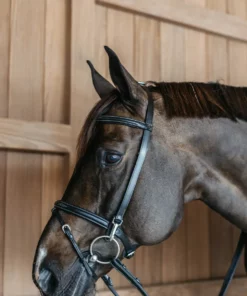 BRIDON D'ENTRAINNEMENT DYON sans les rênes