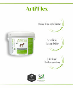 Arti'Flex Granulés 3kg