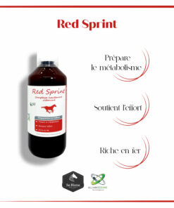 Red sprint Alliance Equine